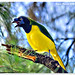Edgar Sharp Photo 8