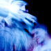 Gerard Rodriguez Photo 33