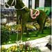 Kenneth Nicolson Photo 8