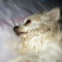 Florence Dawson Photo 9