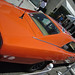 Lee Warner Photo 19