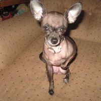 Regina Hubbard Photo 8