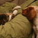 Roger Redden Photo 13