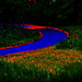 Robert Ropp Photo 5