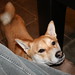 Chloe Do Photo 7