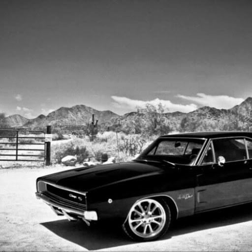 Justin Martinez Photo 8