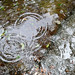 April Ripple Photo 5