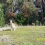 Janet Mckeever Photo 7