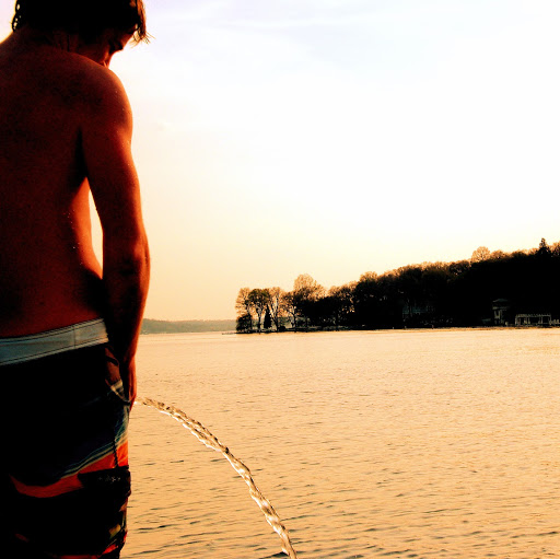 Max Wessels Photo 4