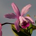 Jerry Elmore Photo 7