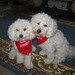 Susan Caldwell Photo 6