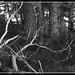 Heather Black Photo 45