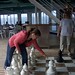 Kimberly Chess Photo 5