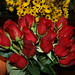 Darrell Rose Photo 5