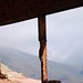 Judith Weis Photo 22