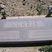 Martha Morris Photo 24