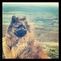Sam Shanks Photo 13