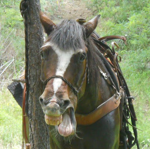 Karen Yeager Photo 3