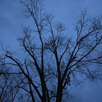Kenneth Fischer Photo 27