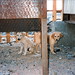 Barry George Photo 20