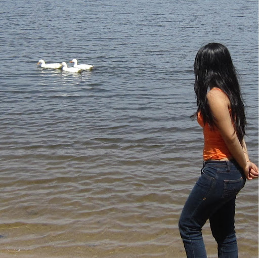 Elizabeth Quintanilla Photo 7