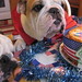 Bessie Crews Photo 1
