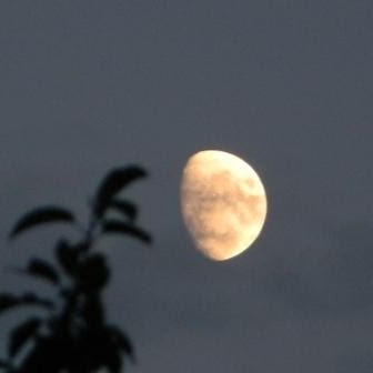 Susanne Peters Photo 8