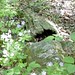 Sandra Platt Photo 27
