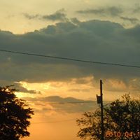 Sharon Sigler Photo 9