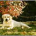 Cindy Tittle Photo 13