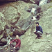 Nick Cunningham Photo 42