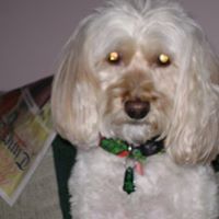 Nancy Comeau Photo 8
