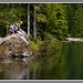 Heather Trail Photo 11