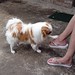 Leroy Brown Photo 19