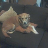 Jennifer Merrell Photo 14
