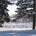 Robert Knoll Photo 22