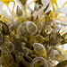 Bob Fredricks Photo 14