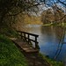 April Wooden Photo 15