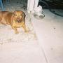 Susan Roth Photo 24
