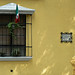 Carmelita Ruiz Photo 13