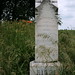 Nancy Riggs Photo 25