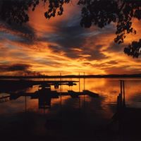 Terry Calvert Photo 16