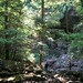 Marc Sutter Photo 11