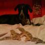 Michael Knowles Photo 27