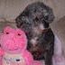 Judy Whitaker Photo 31