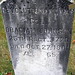 Carey Johnson Photo 25