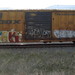 Derek Graf Photo 12