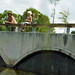 Cheryl Covington Photo 15