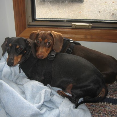 Debra Schrader Photo 3