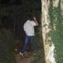 Jack Palmer Photo 15